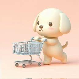 buy tiktok account