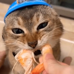 buy youtube channel