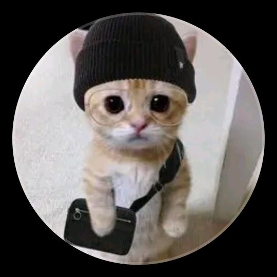 buy tiktok account