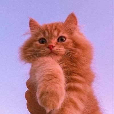 buy twitter account