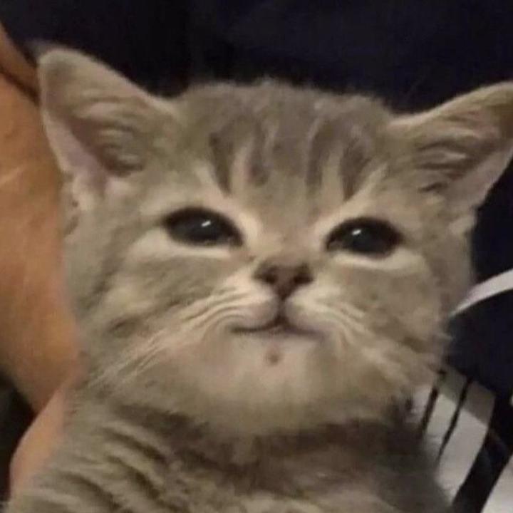 buy tiktok account