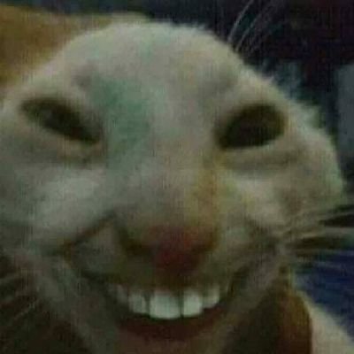 buy twitter account
