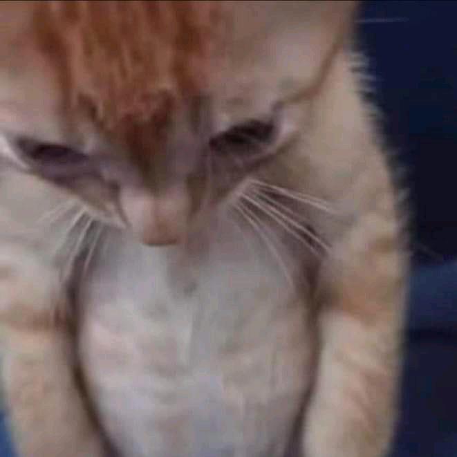 buy tiktok account
