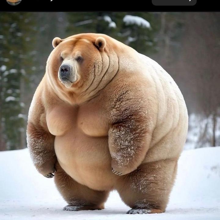 buy tiktok account
