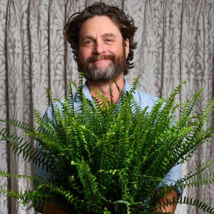 buy tiktok account