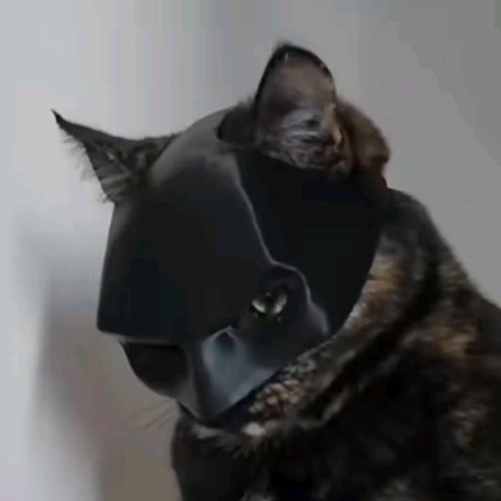 buy tiktok account