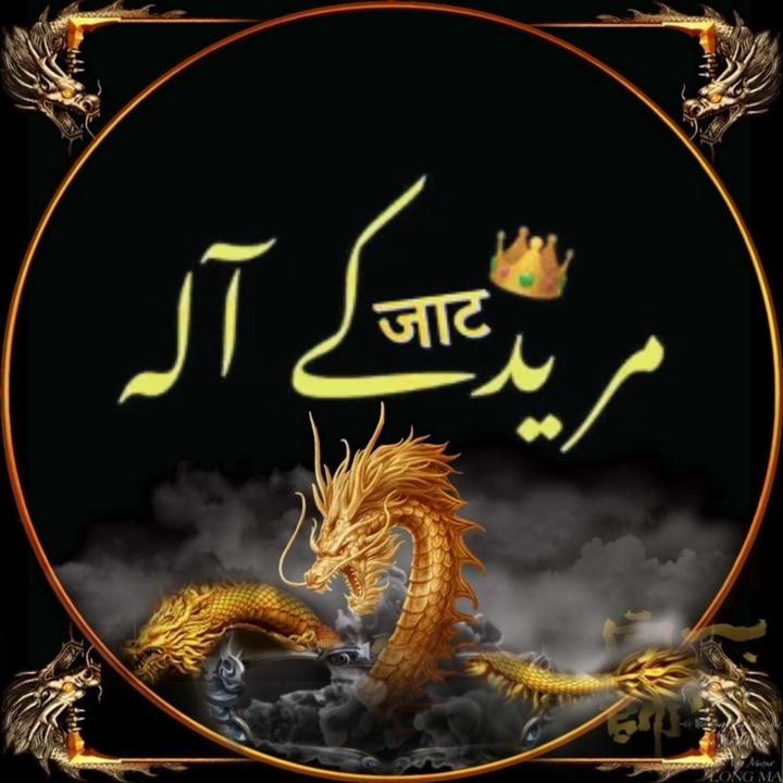 buy  account *********tofficial