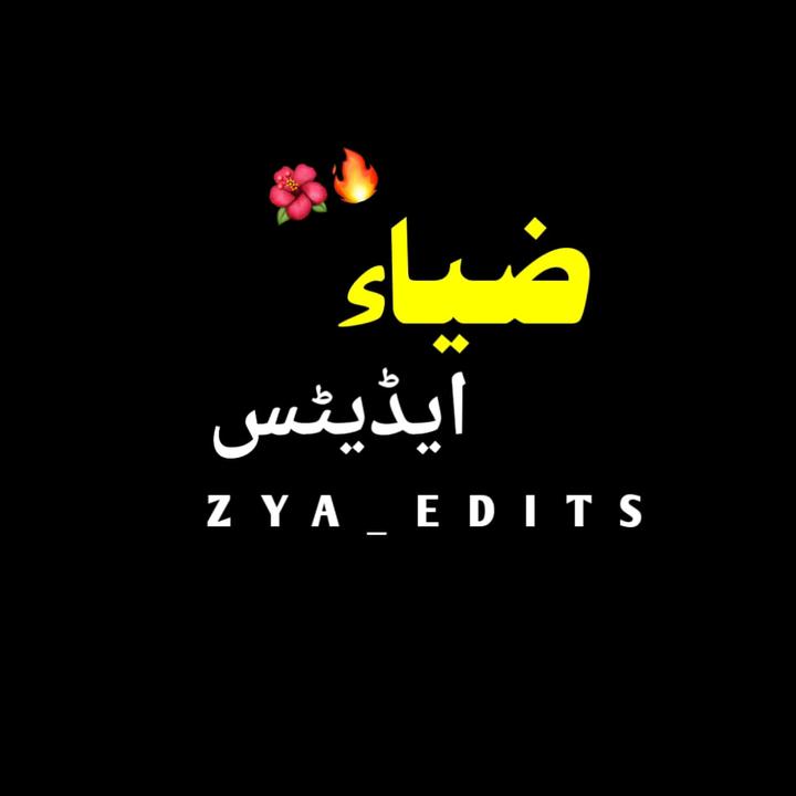 buy tiktok account