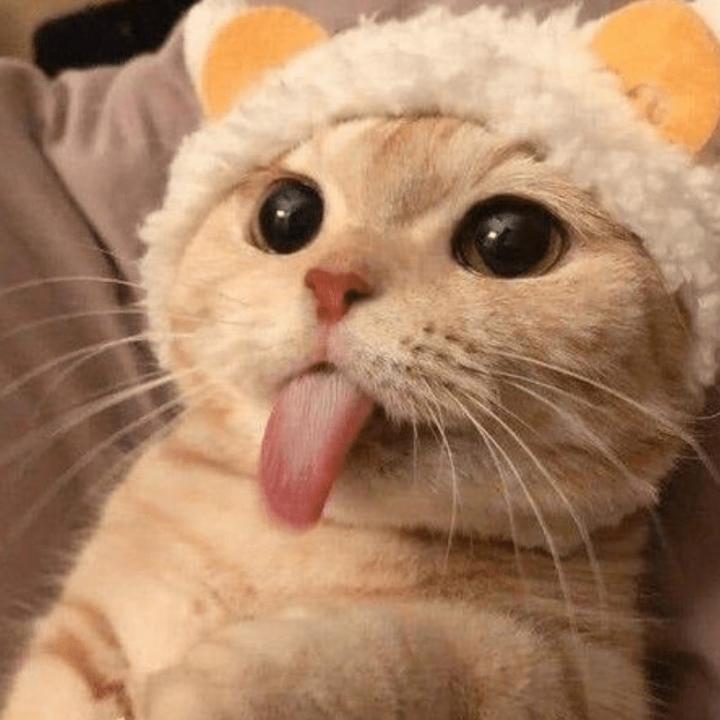 buy tiktok account