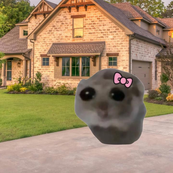 buy tiktok account