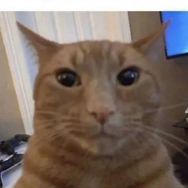 buy tiktok account