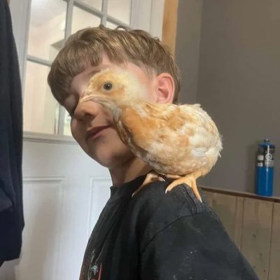 buy twitter account