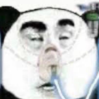 buy tiktok account