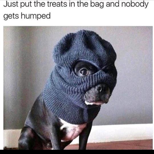 buy tiktok account