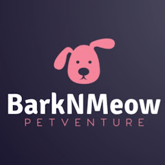 buy youtube channel