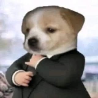 buy theme page