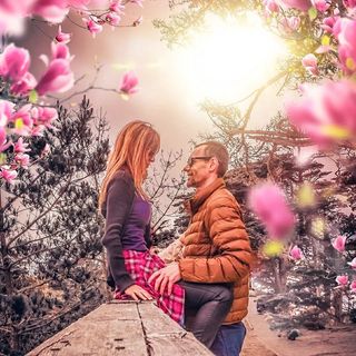 buy theme page