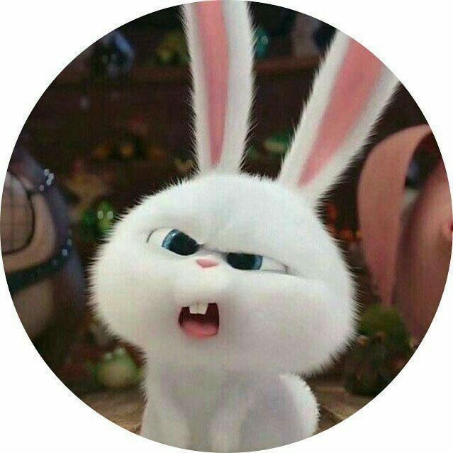buy tiktok account