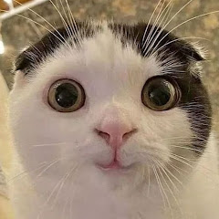 buy youtube channel