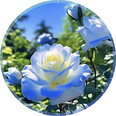 buy youtube channel