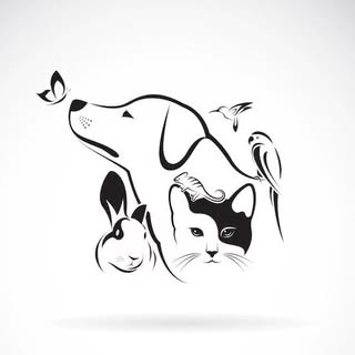 buy theme page