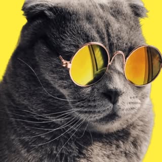 buy theme page