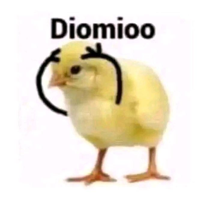 buy tiktok account