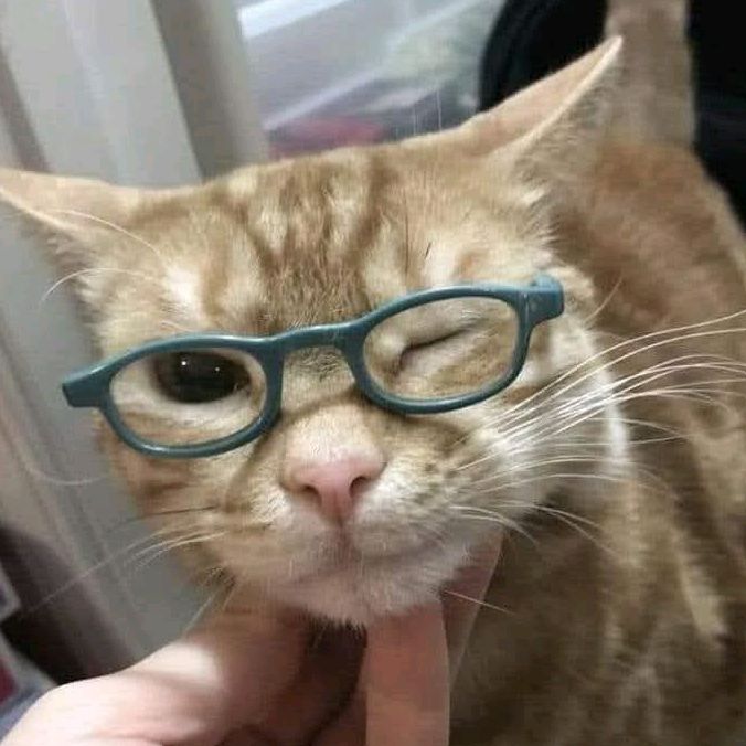 buy tiktok account