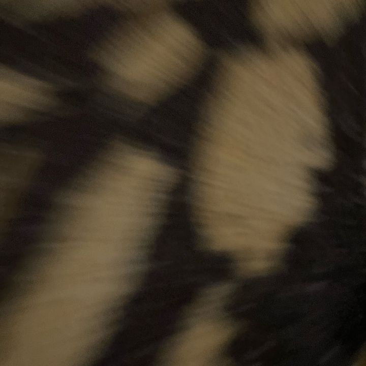 buy tiktok account