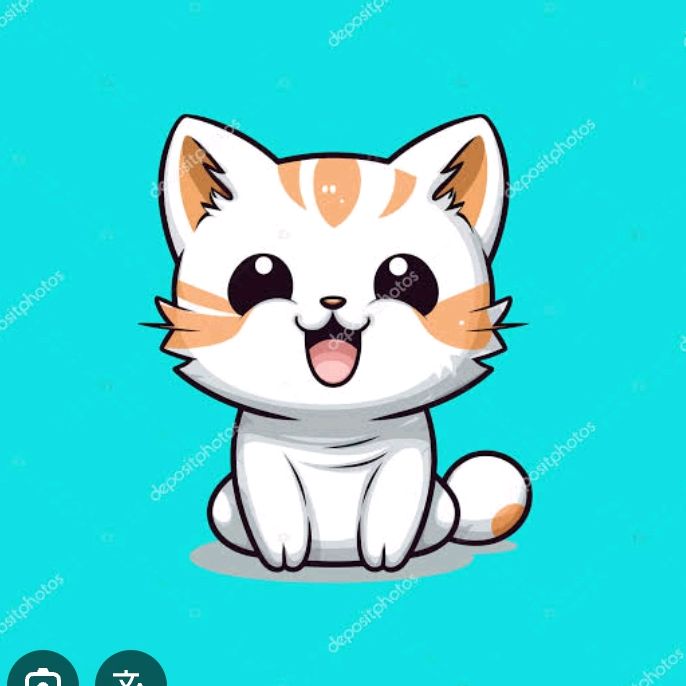 buy tiktok account