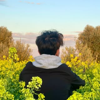buy theme page
