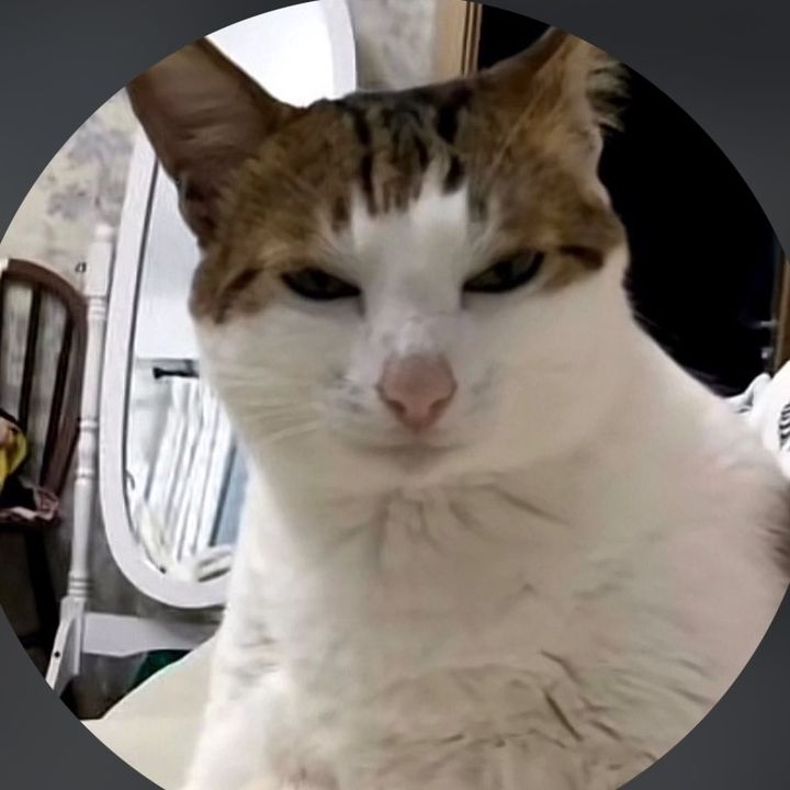 buy tiktok account