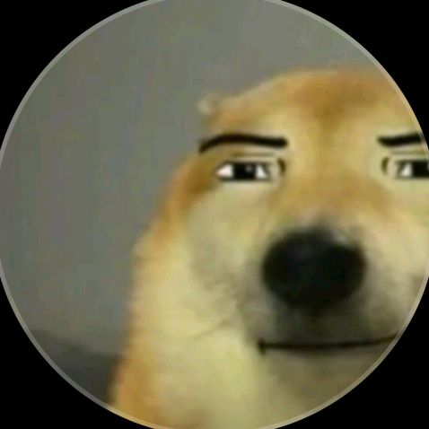 buy tiktok account