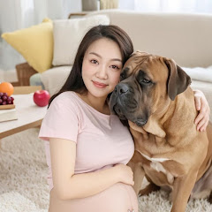 buy  account ***********Paws & Bump