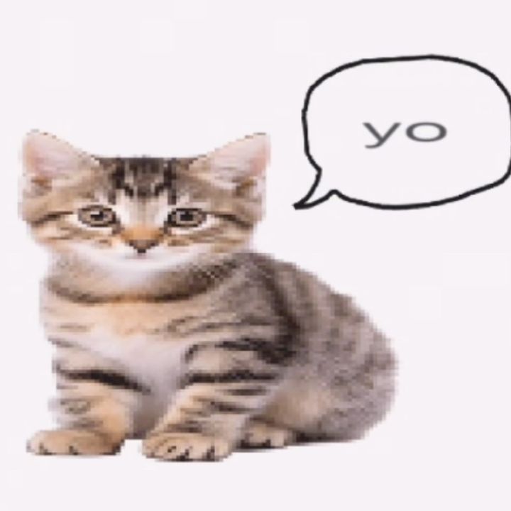 buy tiktok account