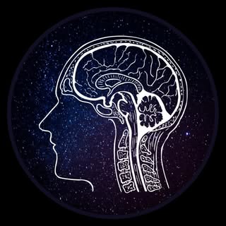 buy theme page