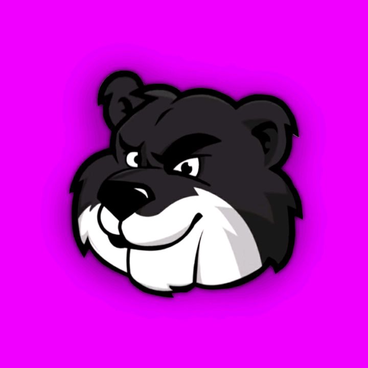 buy tiktok account