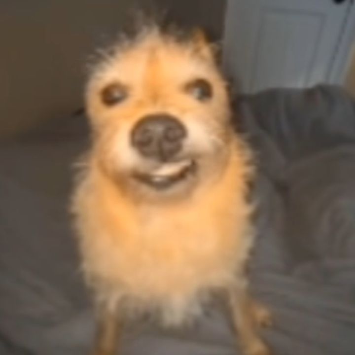 buy tiktok account