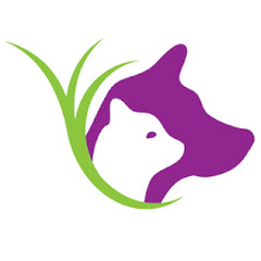 buy youtube channel