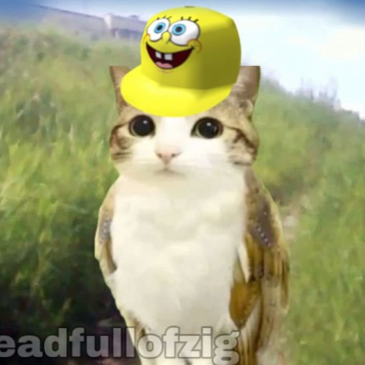 buy tiktok account
