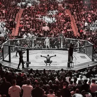 buy theme page