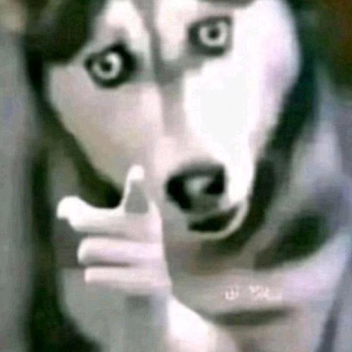buy tiktok account