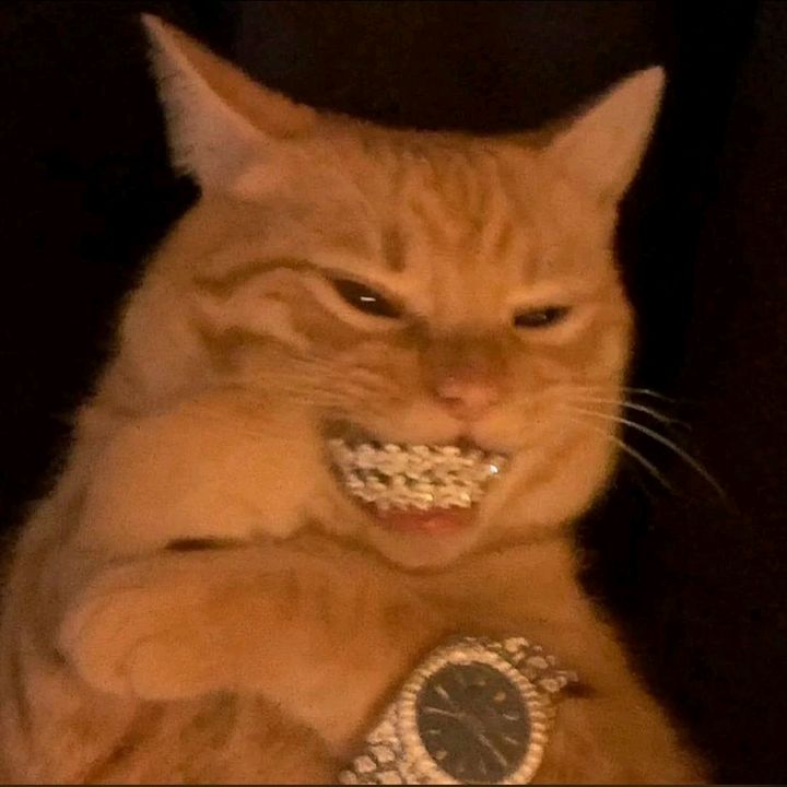 buy tiktok account