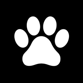 buy theme page