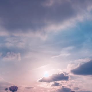 buy theme page