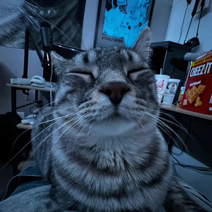 buy tiktok account