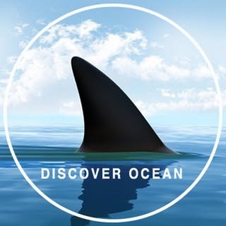 buy theme page