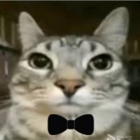 buy tiktok account