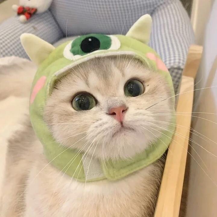 buy tiktok account