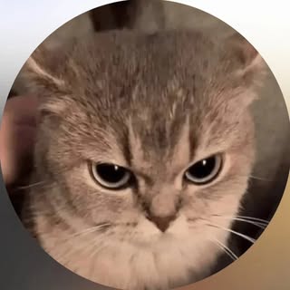 buy theme page